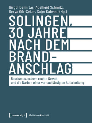 cover image of Solingen, 30 Jahre nach dem Brandanschlag